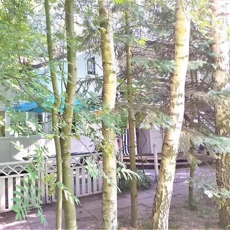 Fajna Chatka *